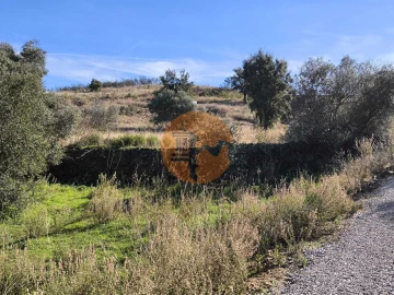 Terreno para Venda em Azinhal