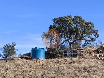 Terreno para Venda em Azinhal