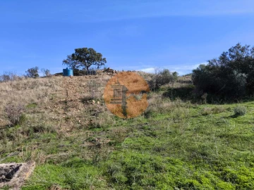 Terreno para Venda em Azinhal