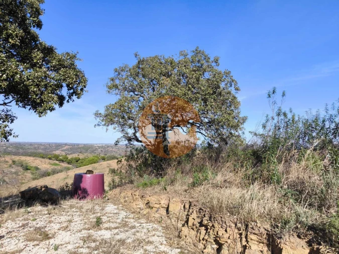 Terreno para Venda em Azinhal Foto 17