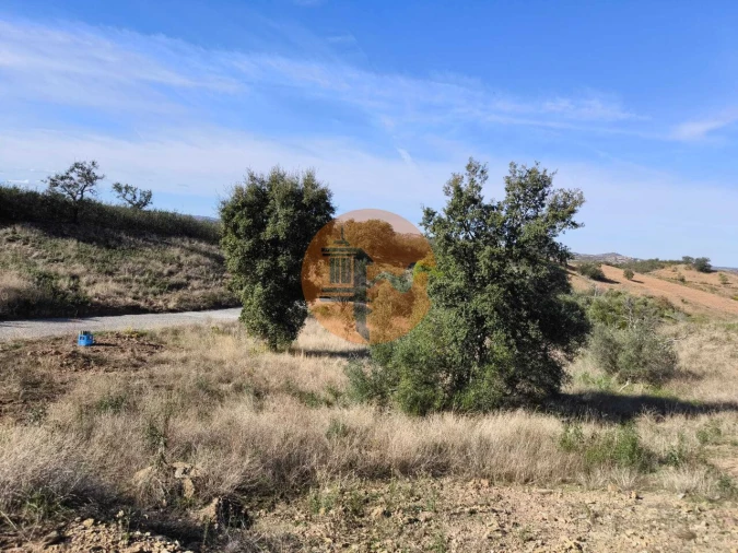 Terreno para Venda em Azinhal Foto 20