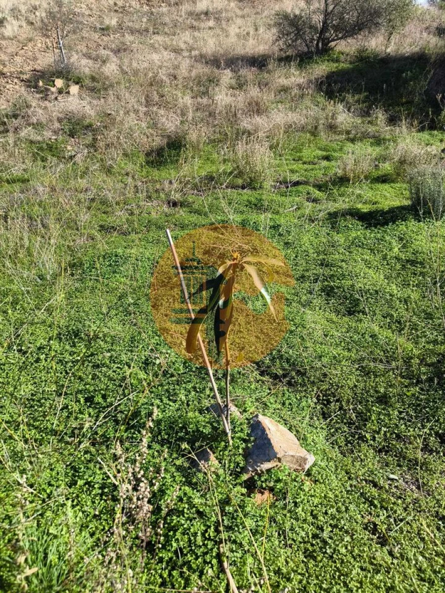 Terreno para Venda em Azinhal Foto 31