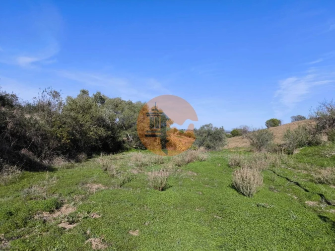 Terreno para Venda em Azinhal Foto 32