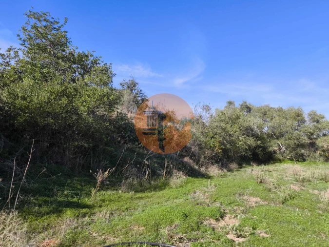 Terreno para Venda em Azinhal Foto 33