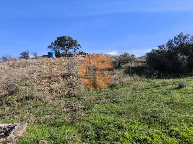 Terreno para Venda em Azinhal Foto 34