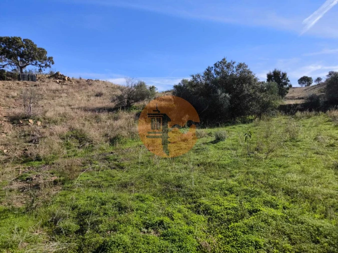 Terreno para Venda em Azinhal Foto 35