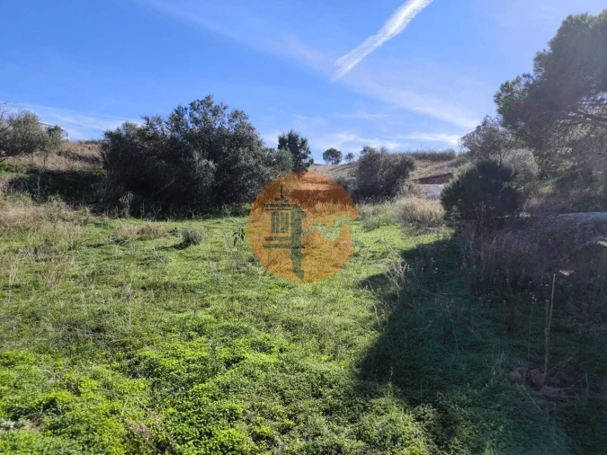 Terreno para Venda em Azinhal Foto 37