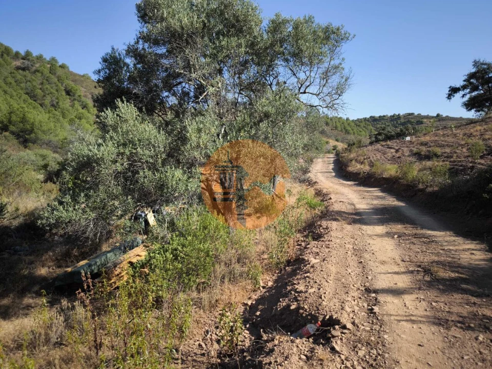 Terreno para Venda em Odeleite Foto 18