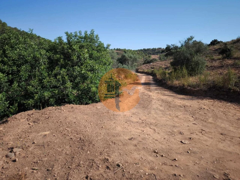 Terreno para Venda em Odeleite Foto 19