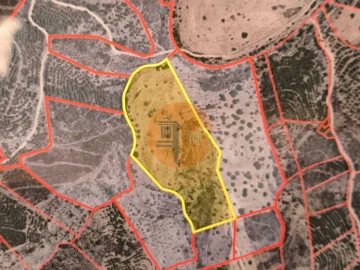 Terreno para Venda em Odeleite