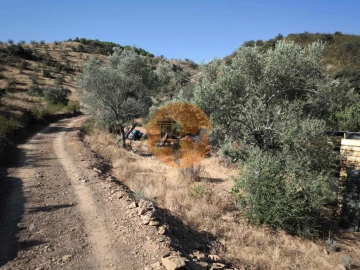 Terreno para Venda em Odeleite