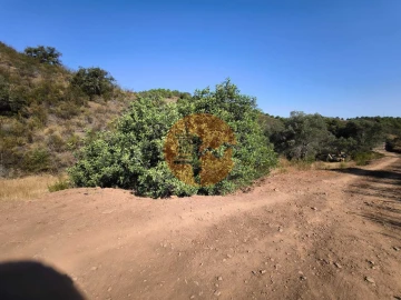 Terreno para Venda em Odeleite