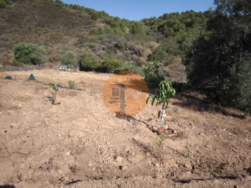 Terreno para Venda em Odeleite