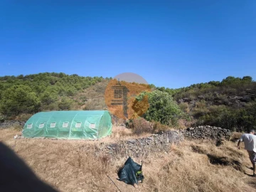 Terreno para Venda em Odeleite