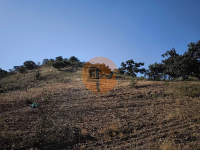 Terreno para Venda em Odeleite Foto 8