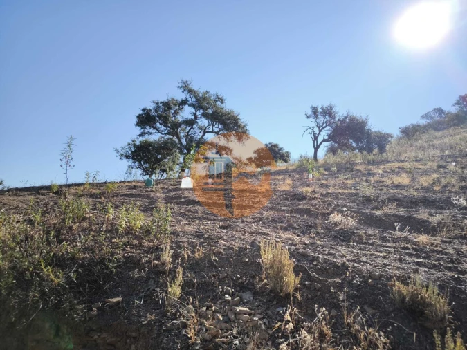 Terreno para Venda em Odeleite Foto 21