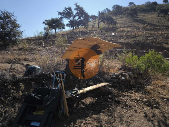 Terreno para Venda em Odeleite Foto 23