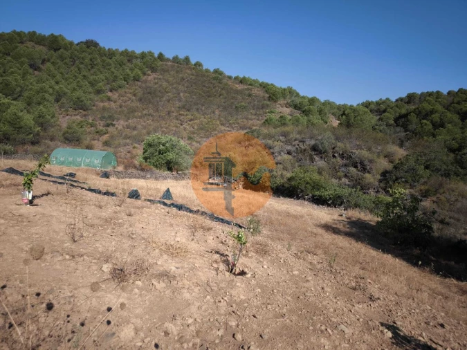 Terreno para Venda em Odeleite Foto 32