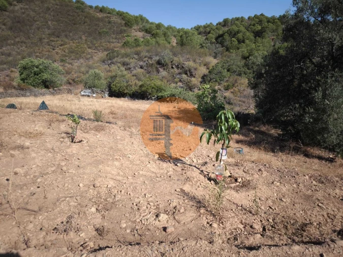Terreno para Venda em Odeleite Foto 30