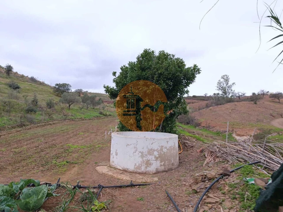 Terreno para Venda em Azinhal Foto 5