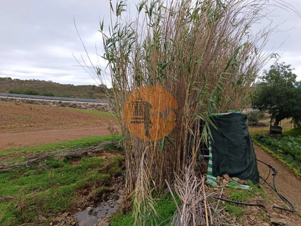 Terreno para Venda em Azinhal Foto 18