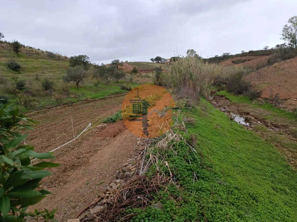 Terreno para Venda em Azinhal Foto 26