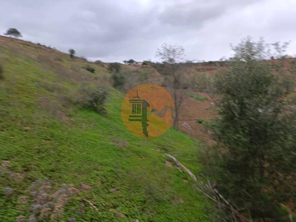 Terreno para Venda em Azinhal Foto 31