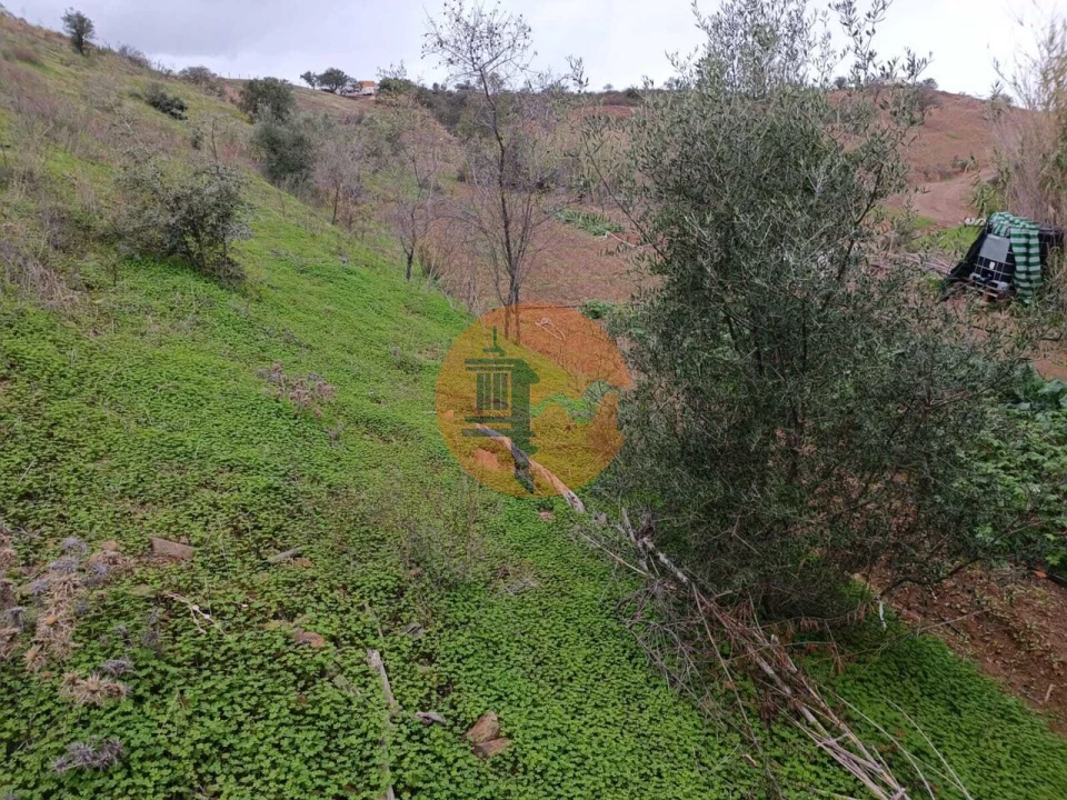 Terreno para Venda em Azinhal Foto 34
