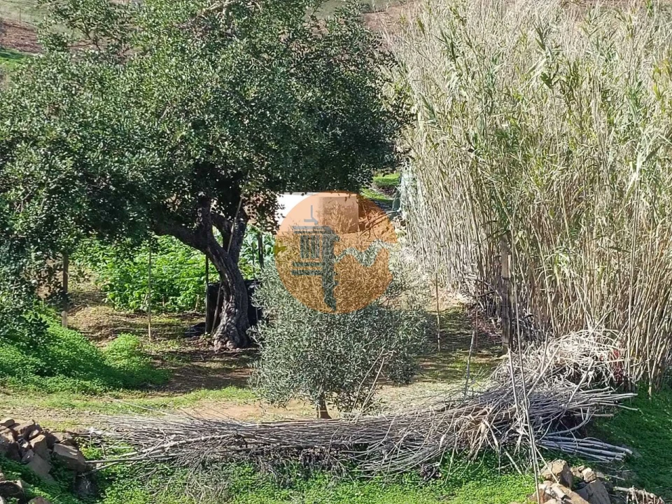 Terreno para Venda em Azinhal Foto 38