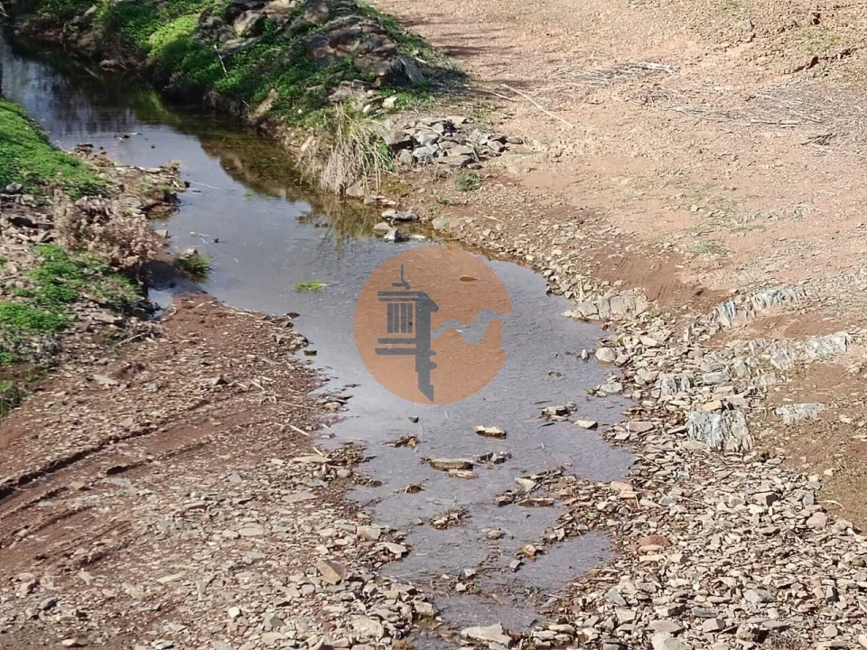 Terreno para Venda em Azinhal Foto 39