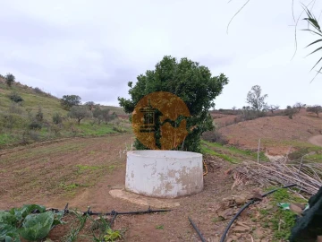 Terreno para Venda em Azinhal