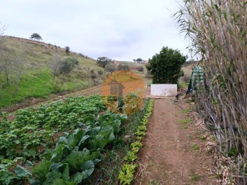 Terreno para Venda em Azinhal
