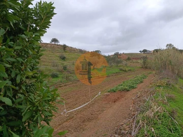 Terreno para Venda em Azinhal