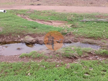 Terreno para Venda em Azinhal