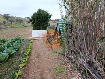 Terreno para Venda em Azinhal