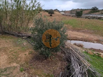 Terreno para Venda em Azinhal