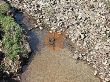 Terreno para Venda em Azinhal