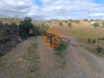 Terreno para Venda em Azinhal