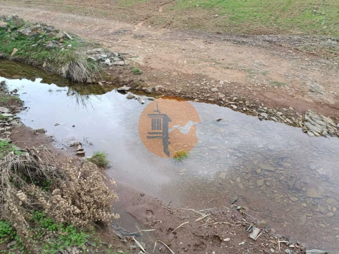 Terreno para Venda em Azinhal Foto 6