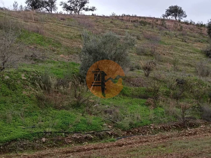 Terreno para Venda em Azinhal Foto 14