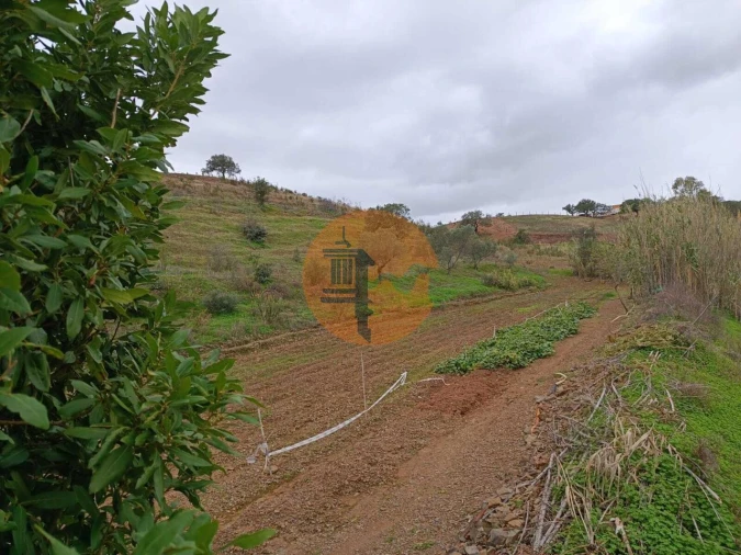 Terreno para Venda em Azinhal Foto 20
