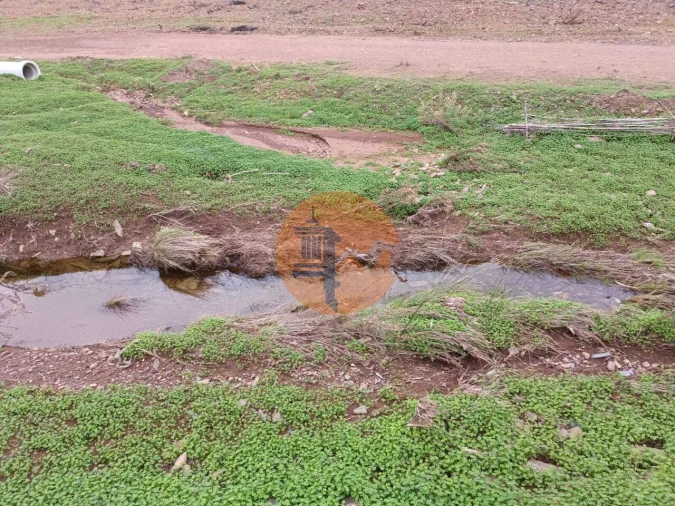 Terreno para Venda em Azinhal Foto 24