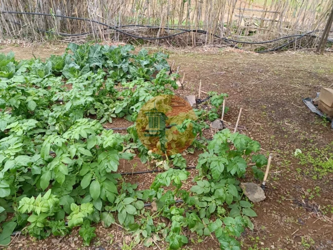 Terreno para Venda em Azinhal Foto 27