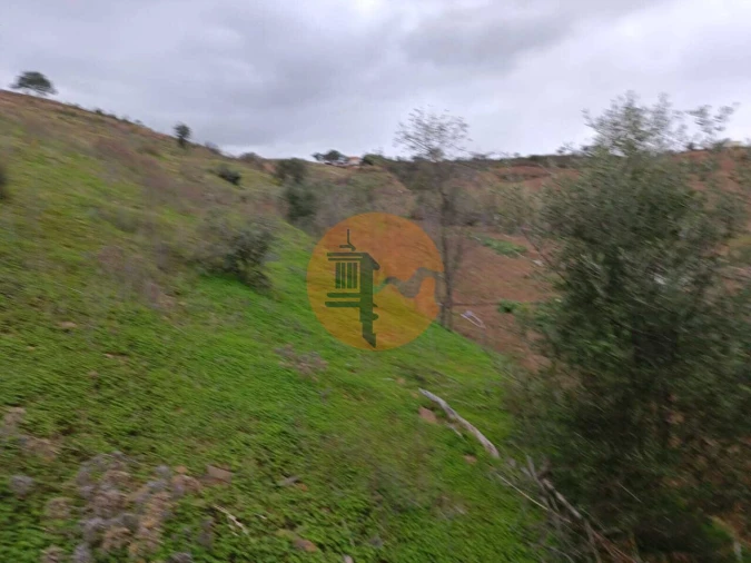 Terreno para Venda em Azinhal Foto 31