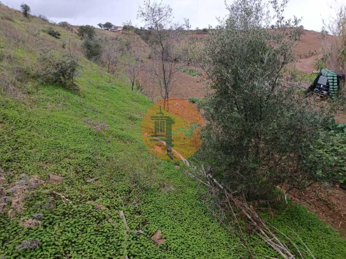 Terreno para Venda em Azinhal Foto 34