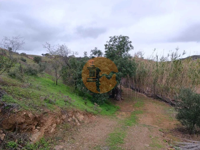 Terreno para Venda em Azinhal Foto 36