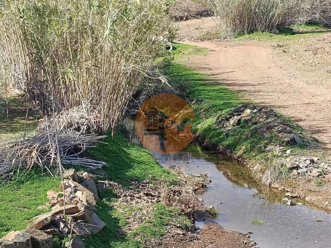 Terreno para Venda em Azinhal Foto 41