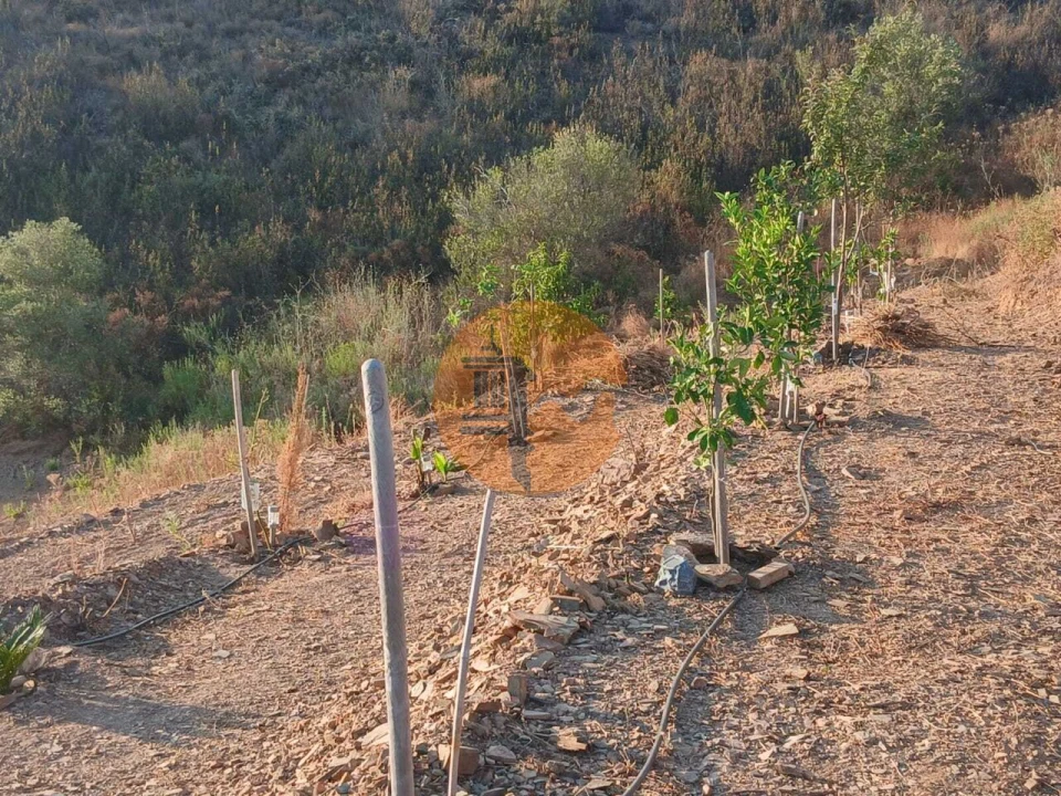 Terreno para Venda em Azinhal Foto 5