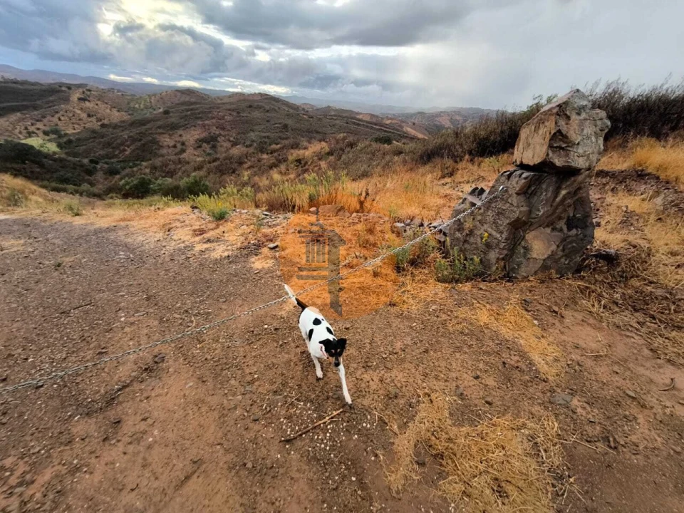 Terreno para Venda em Azinhal Foto 4