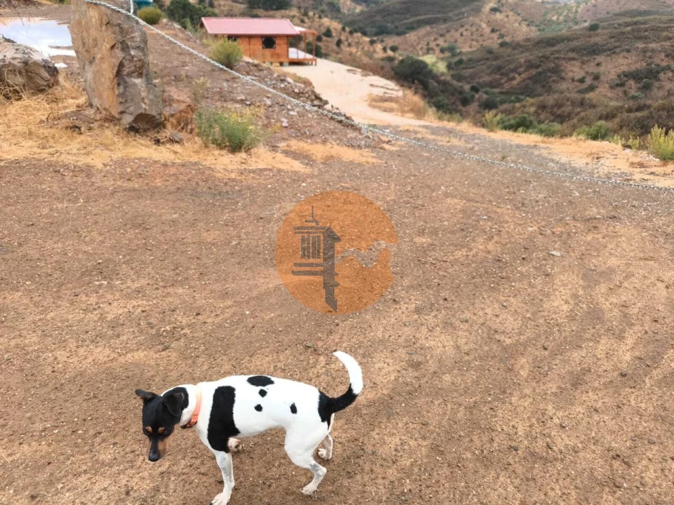 Terreno para Venda em Azinhal Foto 6
